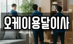 오케이용달이사