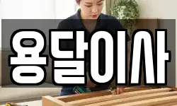 용달이사