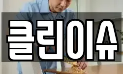 클린이슈