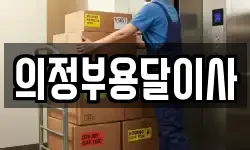 의정부용달이사
