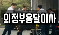 의정부용달이사
