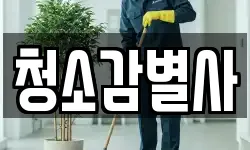 청소감별사