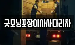 굿모닝포장이사사다리차
