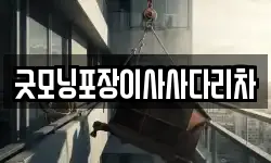 굿모닝포장이사사다리차