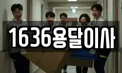 1636용달이사