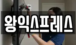 왕익스프레스
