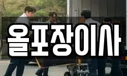 올포장이사