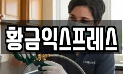 황금익스프레스