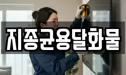지종균용달화물