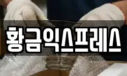황금익스프레스