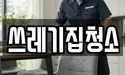 쓰레기집청소