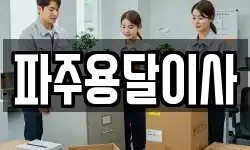 파주용달이사
