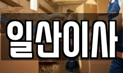 일산이사
