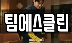 팀에스클린