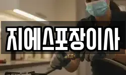 지에스포장이사