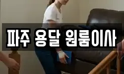 파주 용달 원룸이사