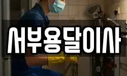 서부용달이사
