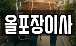 올포장이사