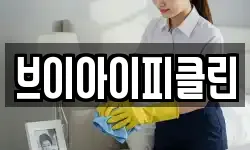 브이아이피클린