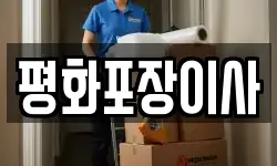 평화포장이사