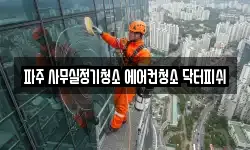 파주 사무실정기청소 에어컨청소 닥터피쉬