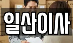 일산이사