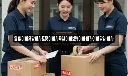 원룸이사용달이사포장이사사무실이사보관이사야간이사당일이사