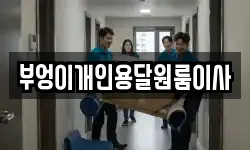 부엉이개인용달원룸이사