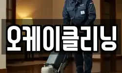 오케이클리닝