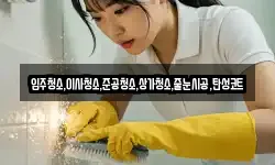입주청소,이사청소,준공청소,상가청소,줄눈시공,탄성코트