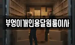 부엉이개인용달원룸이사