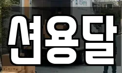 션용달
