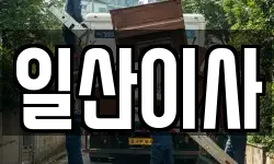 일산이사