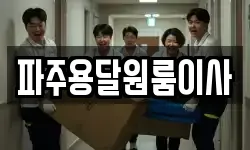 파주용달원룸이사