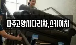 경기도 파주시 탄현면 이사,용달이사,포장이사,원룸이사,보관이사