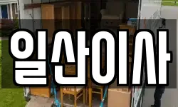 일산이사