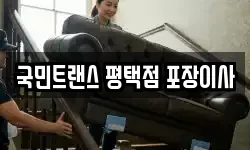 국민트랜스 평택점 포장이사
