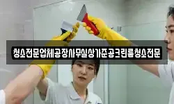 청소전문업체공장사무실상가준공크린룸청소전문