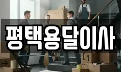 평택용달이사