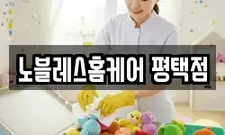 노블레스홈케어 평택점