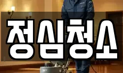 정심청소