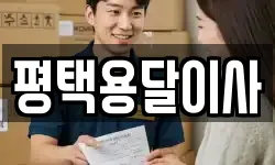 경기도 평택시 고덕면 이사,용달이사,포장이사,원룸이사,보관이사