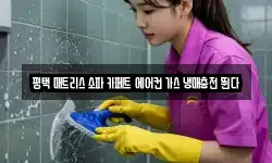 평택 매트리스 소파 카페트 에어컨 가스 냉매충전 뛴다