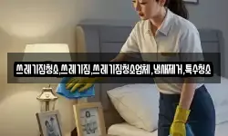쓰레기집청소,쓰레기집,쓰레기집청소업체,냄새제거,특수청소