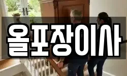 올포장이사