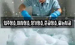 입주청소,이사청소,상가청소,준공청소,줄눈시공