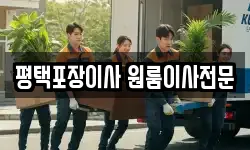 평택포장이사 원룸이사전문