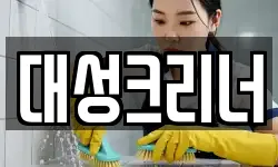 대성크리너