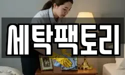 세탁팩토리