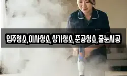 입주청소,이사청소,상가청소,준공청소,줄눈시공